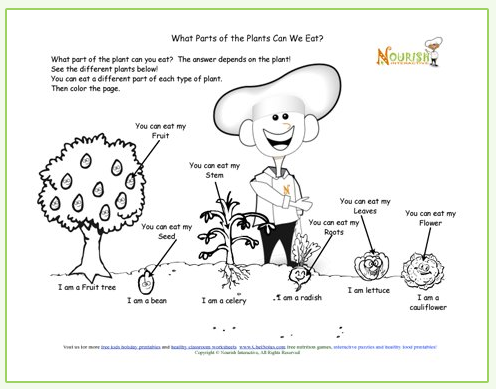 learning about farming and growing food printable for early nutrition education